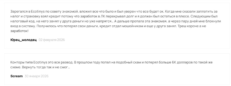 Ecotinys — клонированный брокер-мошенник. Полный разбор схемы развода на деньги