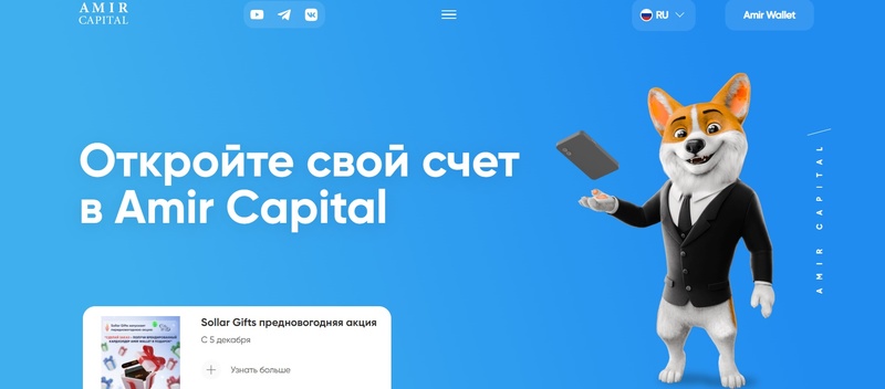 Amir Capital