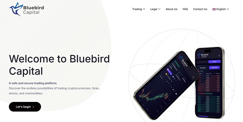 Bluebird Capital