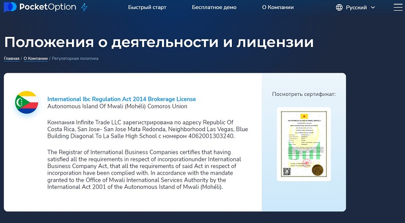 Брокер БО Pocket Option: обзор проекта на основе отзывов трейдеров