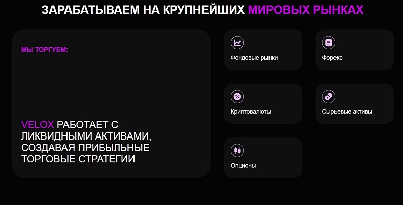 Какой обман скрывает брокер Veelox за яркой самопрезентацией и обещаниями