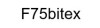 F75bitex Logo