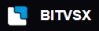 Bitvsx Logo