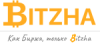 Bitzha Logo