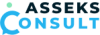 Asseks Consult Logo