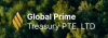 Global Prime Treasury Logo