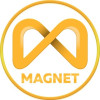 Crypto Magnet Logo