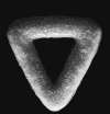 Donot logo