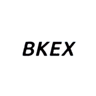 Компания BKEX logo