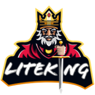 Компания Liteking logo