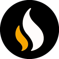 Компания Coinesa logo