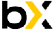 Компания Bincryptex logo