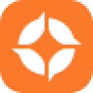 Компания Ocelott logo