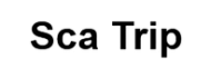 Компания Sca Trip logo