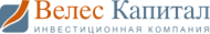 Компания VelesCapital logo