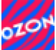 T1tozon logo