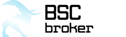BSC Broker logo